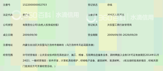 兴安盟盛泰智能软件工程
